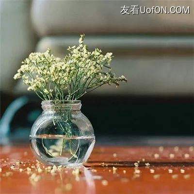 伏羲龙棺传奇手游下载