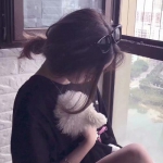 龙状元h5版下载
